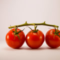 A Beginner's Guide to the Pomodoro Technique for Online Learning